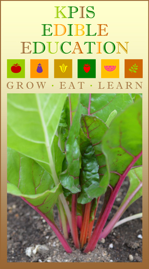 INTERNATIONAL PRESCHOOL TOKYO EDIBLE EDUCATION