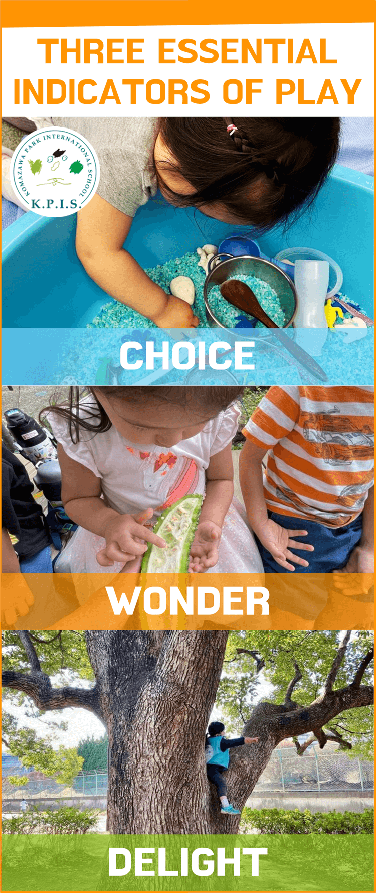 CHOICE, WONDER, DELIGHT | KOMAZAWA PARK INTERNATIONAL SCHOOL